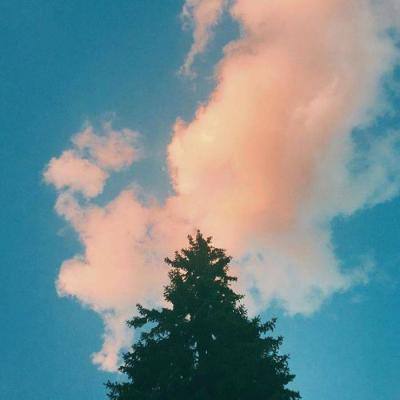 芒果体育app下载