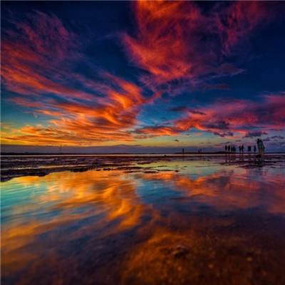 买球的app排行榜前十名推荐下载手机版