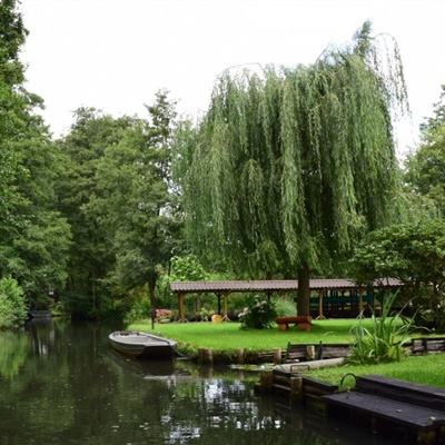 盈彩网手机app下载