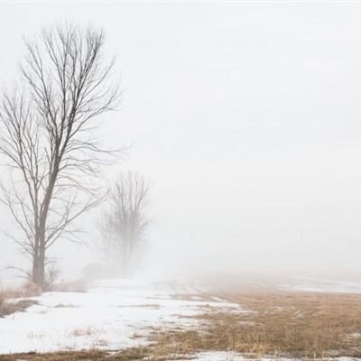 天博登录网站截图