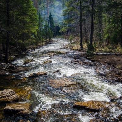 金沙8888js官方下载手机版